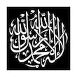 شابلون کد SP11