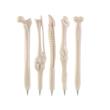 خودکار طرح استخوانی مدل B5 کد B15 مجموعه 5 عددی 