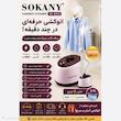 بخارگر ایستاده 2000 وات سوکانی مدل SK-4005 