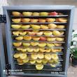 میوه و سبزی خشک کن تراشه پرداز مدل T555