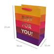 پاکت هدیه طرح راه راه مدل JUST FOR YOU کد 11100978