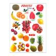 برچسب مدل میوه ها کد Fruits-1125