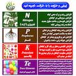 کود پتاس بالا NPK 5-5-45 +TE ظرافت مدل KO30209 حجم 120 میلی لیتر