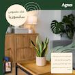 خاک سانسوریا آگنس مدل Agsa1.5 حجم 1.5 لیتر