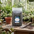 خاک سانسوریا سرزمین خاک مدل 20LTR وزن 10 کیلوگرم