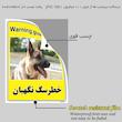 برچسب ایمنی مستر راد طرح خطر سگ نگهبان مدل HSE-OSHA-040