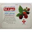 بازی آموزشی دیدآموز طرح میوه ها