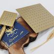 سردوش حمام ققنوس مدل سناتور مجموعه دو عددی