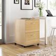 فایل اداری اسمردیس مدل F122 - MDF