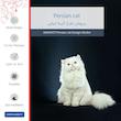 برچسب پوششی ماهوت مدل Persian-cat مناسب برای گوشی موبایل اینفینیکس Smart 6 X657B