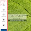 برچسب پوششی ماهوت مدل Leaf-Texture مناسب برای گوشی موبایل سامسونگ Galaxy S8 Plus