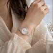ساعت مچی عقربه ای زنانه کوارتز نیوی فورس مدل NF6110 S.CP