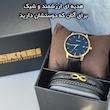 ساعت مچی عقربه‌ای مردانه کوارتز اسکمی مدل 1801LGDBK-Verganti به همراه دستبند