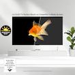تلویزیون  65 اینچ اولد هوشمند ال جی مدل OLED65C5PUA