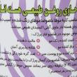 شامپو مو پرژک مدل انار حجم 450 میلی لیتر بسته 4 عددی