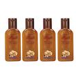 شامپو مو بس مدل Walnut & Almond حجم 280 میلی لیتر مجموعه 4 عددی