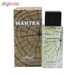 ادوپرفیوم مردانه رکسان مدل Mantra حجم 100 میلی لیتر