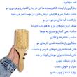 برس مو مدل چوب بامبو کد B101