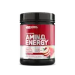 اسنشال آمینو انرژی اپتیموم نوتریشن ۵۸۵ گرمی | Optimum Nutrition Essential AMIN.O. Energy 585g