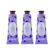 کرم مرطوب کننده ویت یو مدل Juicy Grapes حجم 50 میلی لیتر مجموعه 3 عددی