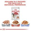 پوچ گربه رویال کنین مدل Instinctive وزن 85 گرم بسته 12 عددی