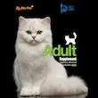 پودر مکمل گربه بایو پت مدل Adult وزن 200 گرم