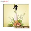 اسپری مو دو فاز استایکس مدل BIPHASE حجم 250 میلی لیتر