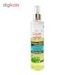 سرم مو کالیون مدل Algae extract حجم 250 میلی لیتر