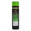 شامپو تقویت کننده و ضد ریزش مو کاریشما مدل Scalp Oil Control مناسب مو های چرب حجم ۲۵۰ میلی لیتر،تقویت کننده مو با خاصیت از بین برنده چربی مو و پوست سر،با کف کنندگی بالا