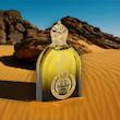 ادو پرفیوم مردانه دیوایز مدل Shaik Opulent Gold Edition با رایحه گرم حجم 100 میلی لیتر