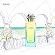 ادو تویلت هرمس Un Jardin En Mediterranee حجم 100ml