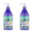 کرم آبرسان هندولوژی مدل MixedBerry حجم 375 میلی لیتر بسته 2 عددی