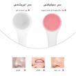 برس پاک کننده آرایش صورت کد 110