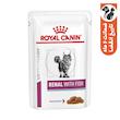 پوچ گربه رویال کنین مدل Renal with Fish وزن 85 گرم
