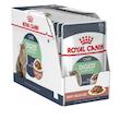 پوچ گربه رویال کنین مدل digestive care وزن 85 گرم بسته 12 عددی