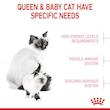 غذای خشک مادر و بچه گربه رویال کنین مدل Mother & Baby Cat وزن 10 کیلوگرم