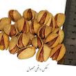 پسته اکبری دوآتیشه گهربد - 800 گرم
