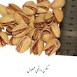 پسته اکبری نمکین زعفرانی گهربد - 250 گرم