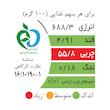 مغز پسته خام اکبر راستگو - 280 گرم