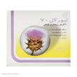 قرص لیور گل 70 گل دارو بسته 30 عددی