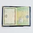 جلد شناسنامه مدل IDC280760