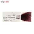 رنگ مو پادینا شماره RV4-5-65 حجم 100 میلی لیتر رنگ انگوری تیره