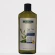 شامپو مو سان وی مدل Tee tree oil حجم 300 میلی لیتر