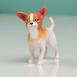 فیگور مدل سگ چیواوا طرح CHIHUAHUA