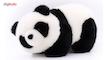 عروسک PandaWay بهار گالری مدل خرس پاندا Baby