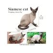 فیگور مدل گربه سیامی طرح Siamese کد CA954-5 ارتفاع 6.7 سانتی‌متر