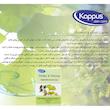 صابون شستشو کاپوس اسکین کر مدل Ginkgo and Ginseng وزن 100 گرم