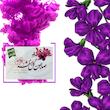صابون شستشو ارمغان سلامت مدل گل بنفشه وزن 85 گرم