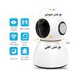 دوربین مداربسته تحت شبکه مدل speed-5f