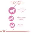 غذای خشک گربه عقیم شده رویال کنین مدل Regular Sterilised وزن 2 کیلوگرم